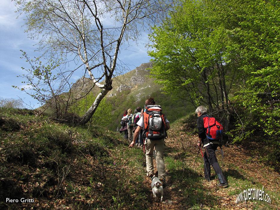 22 Foglie d'autunno e di primavera.jpg